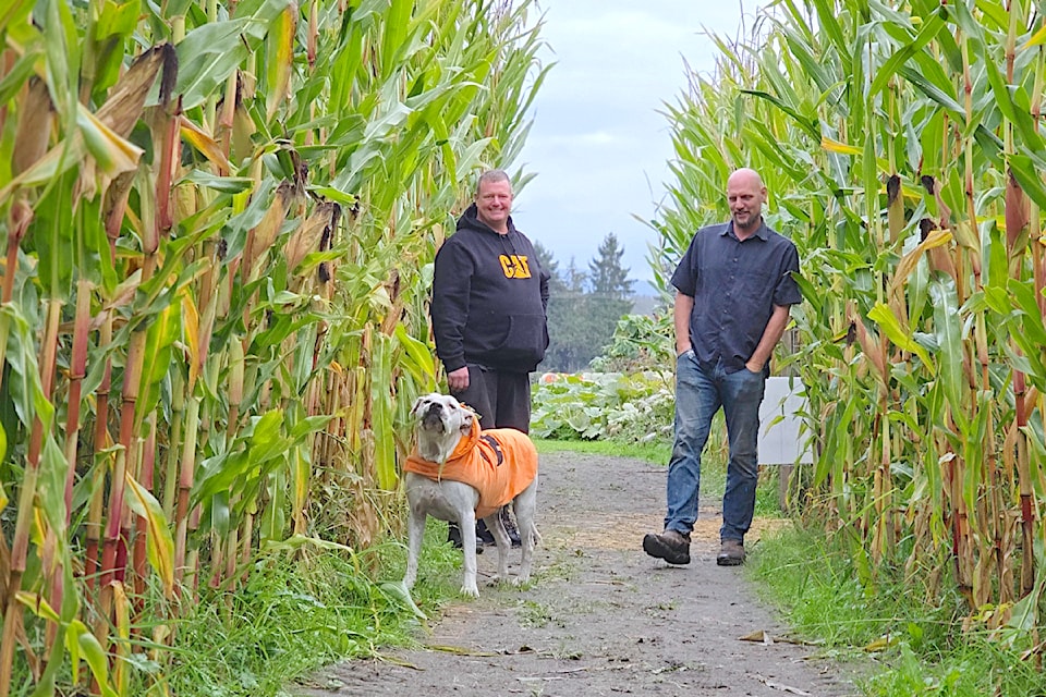 Langley's newest pumpkin patch
