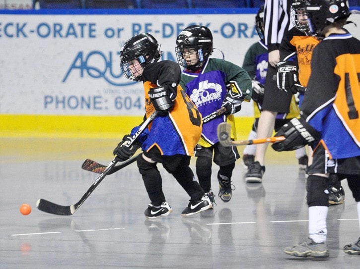 10880langleypeanutsvalleyballhockey