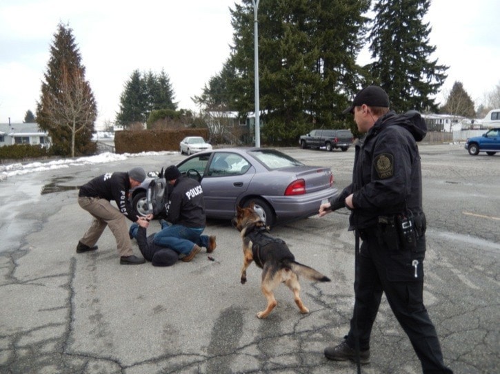 12029langleyEnforcementTeamArrestbcopy