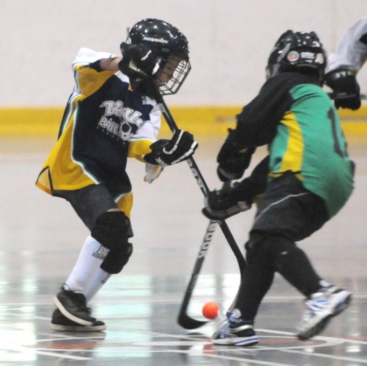 15045langleyballhockeywebversion