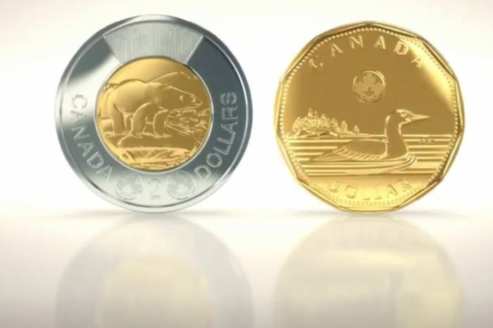 1722surreynewloonietoonie-7web