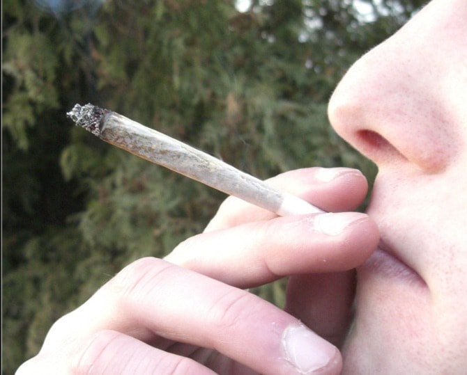 17623surreymarijuanatoke-7web