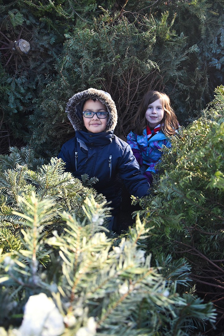 Photos Scouts tree chipping Langley Advance Times