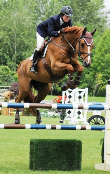 20162langleyPremiershowjumpingwebversion