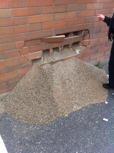 24059aldergroveCopShopDamage