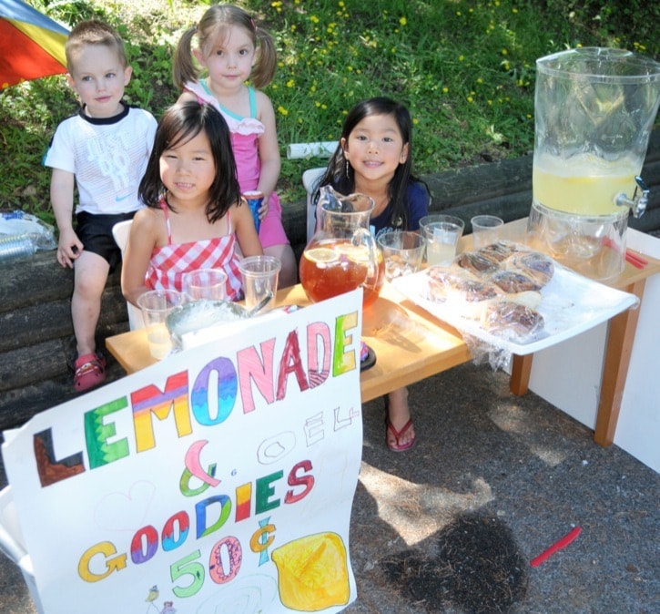 24833langleyLemonadestand
