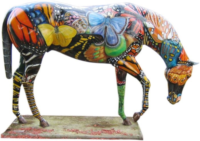 25649langleybutterfly-horse-cropped