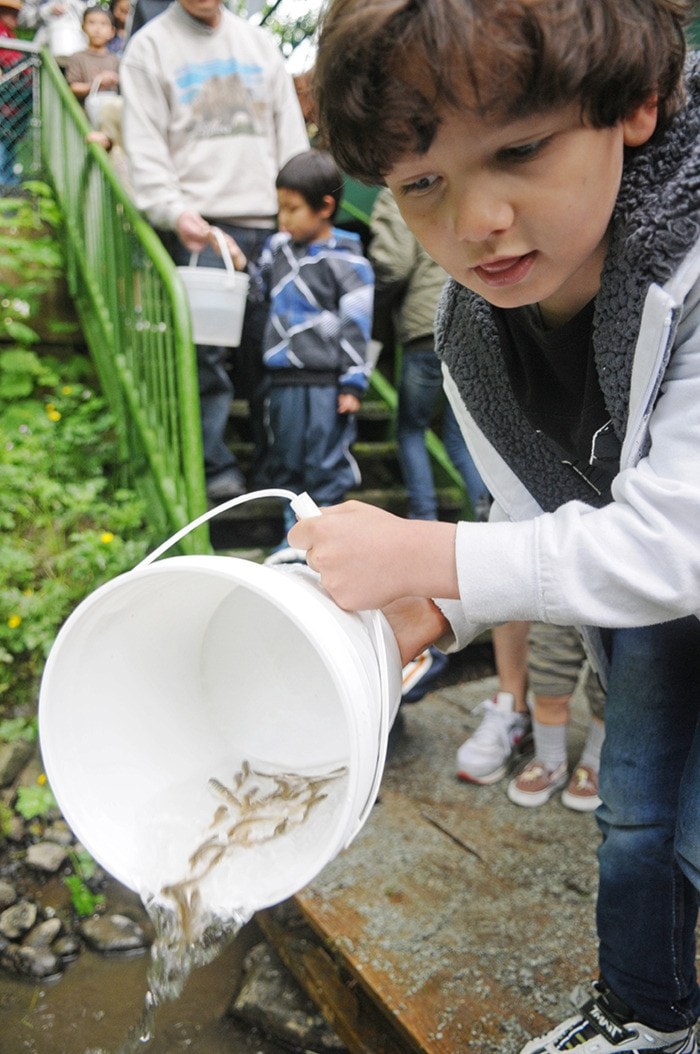 3025langleyMaplesfishrelease
