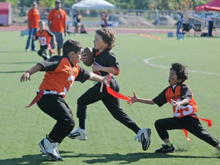 30369langleyflagfootballwebversion