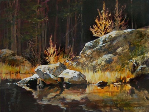 31668missionAliceMahonRockyshoreline
