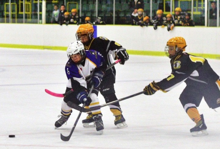 33984langleyAtomhockey
