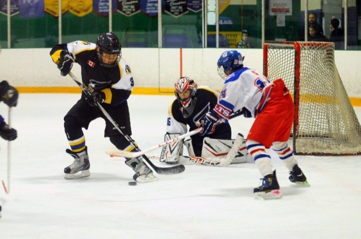 34884langley0125_HockeyStandalone_O-Dellwebversion