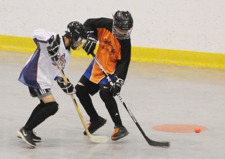 36194langleyBallhockeywebversion
