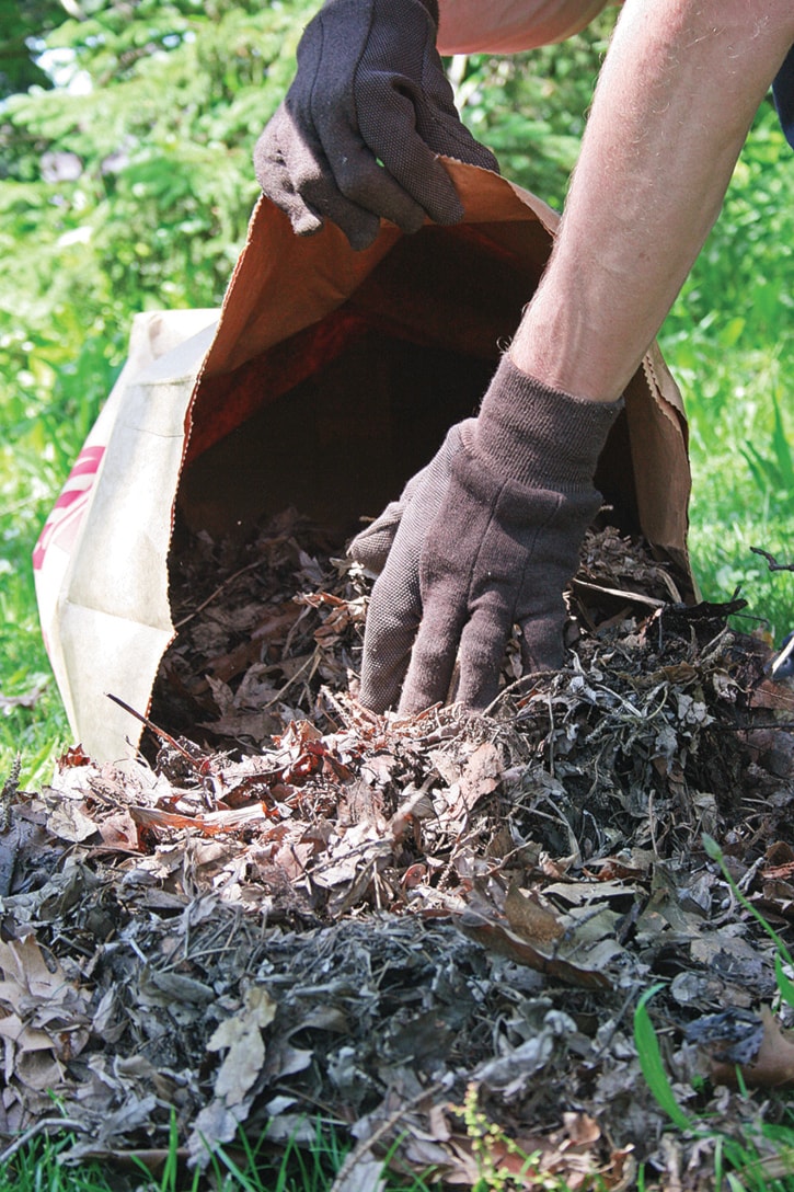 44426langleygardeningweb