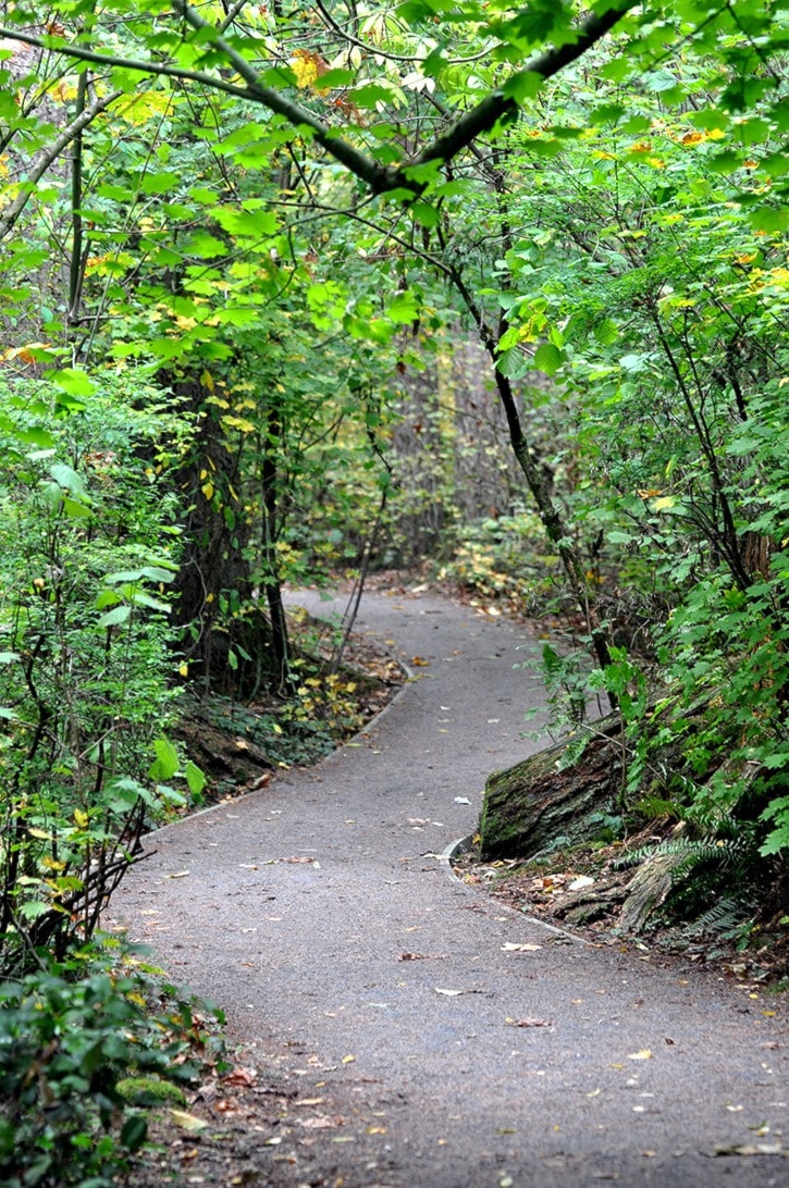 Miranda GATHERCOLE 2015-10-06 Pathway at Campbell Valley Regional Park.