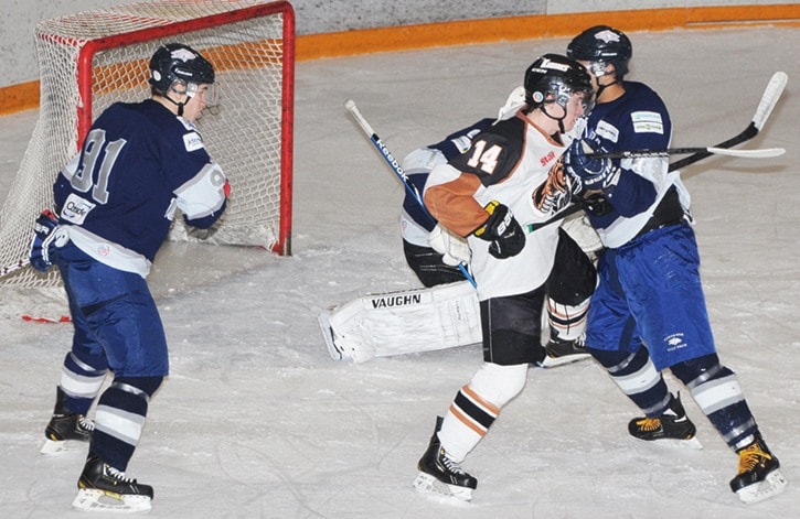 48384langleyKodiaksJan15UngerWolfPack5103