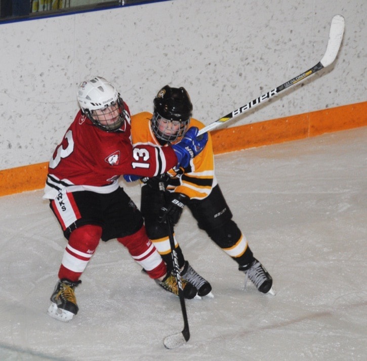 48421langleyHockeyAldAbbyPeewee7224webversion