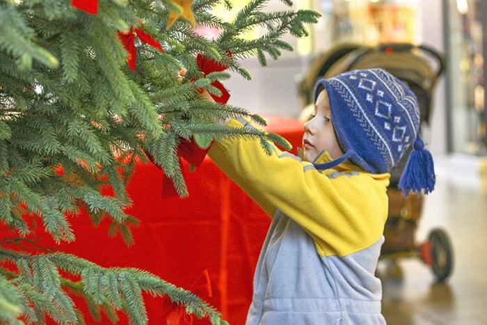 49979langleyChristmasBureautree