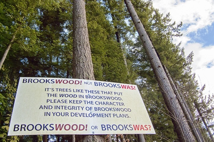 50529langleyBrookswasprotestsignfeb18