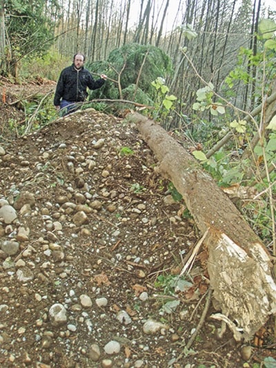 53199langleyWOLFRobertsonontreecut