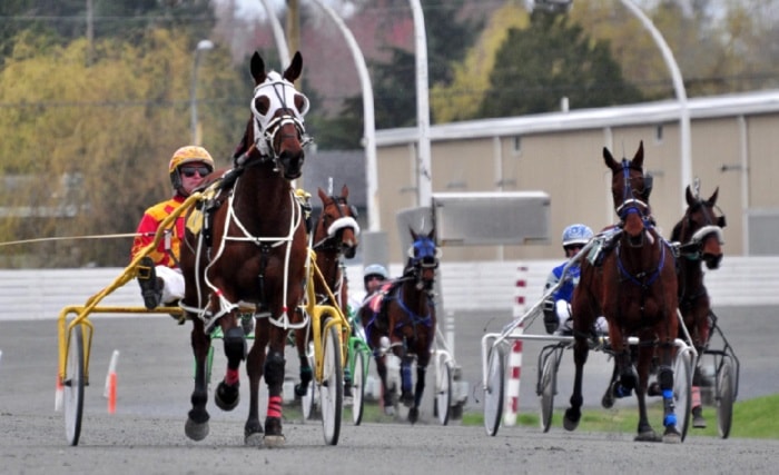 5504cloverdaleHarnessRacingFD-7web