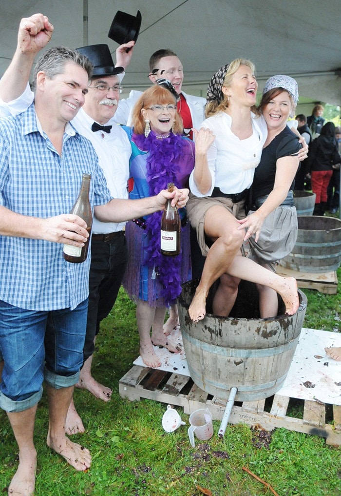 58247langleyGrapeStomp