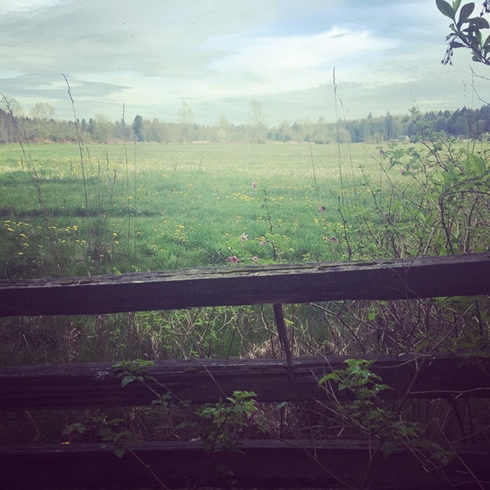 58649langleycv-park