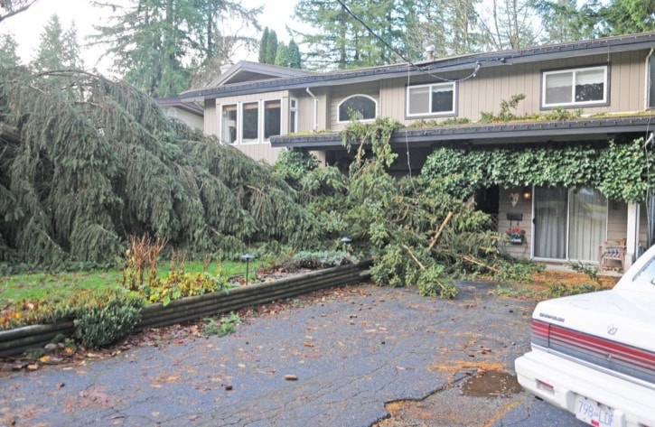 59690langleyStormdamagetreeonhouse