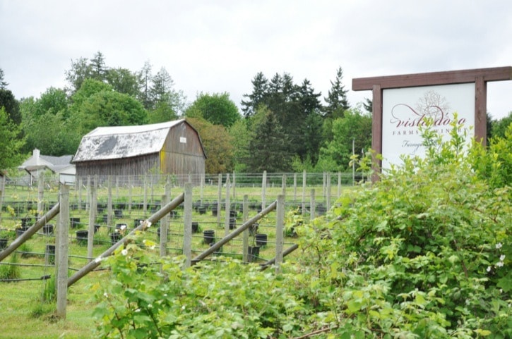 Miranda GATHERCOLE 2012-05-22
Vista D'oro Farms and Winery