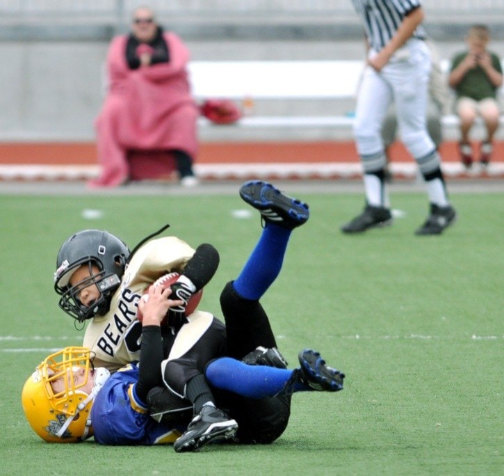 73200langleyAtomBears3webversion
