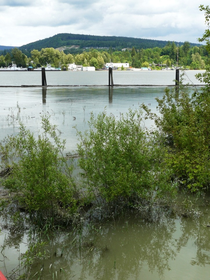 73612langleyRisingwaterlevelsstandaloneDF