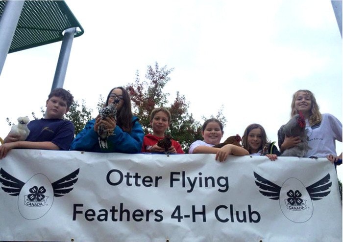 75447langleyflyingfeathers