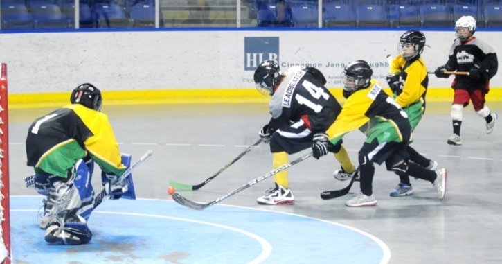 7797langleyminorvalleyballhockeywebversion