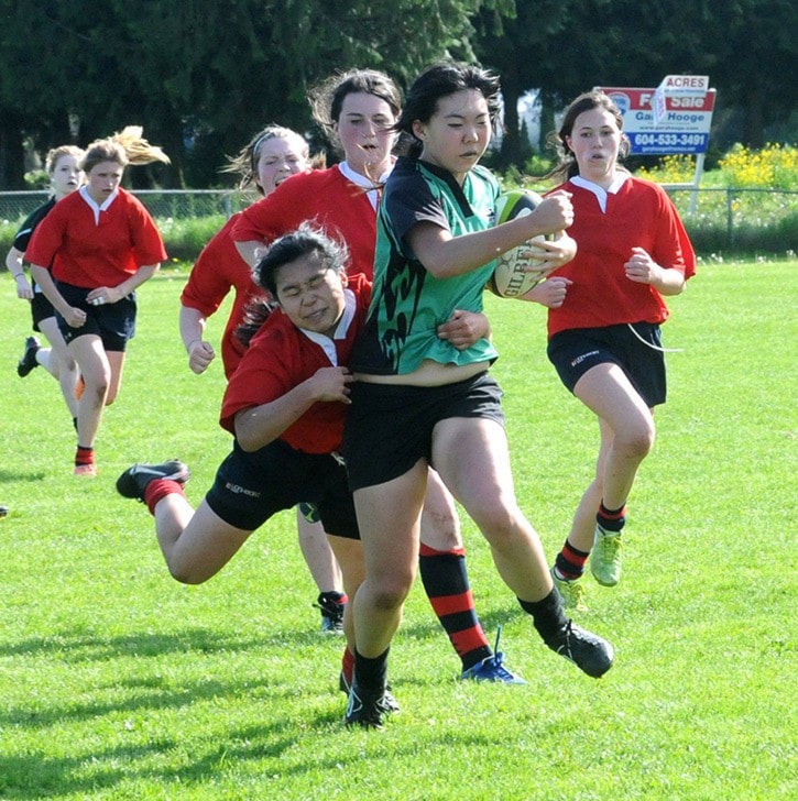 83591langleyDWPvsWGsgrugbycopy