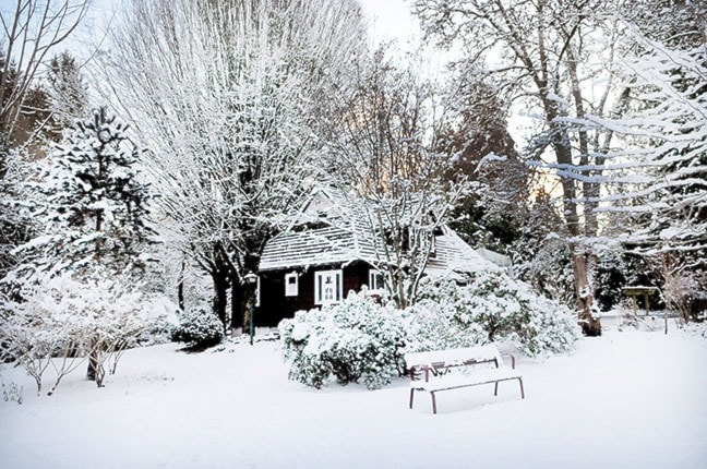 8488langley1612tl_sendallgardenssnow4