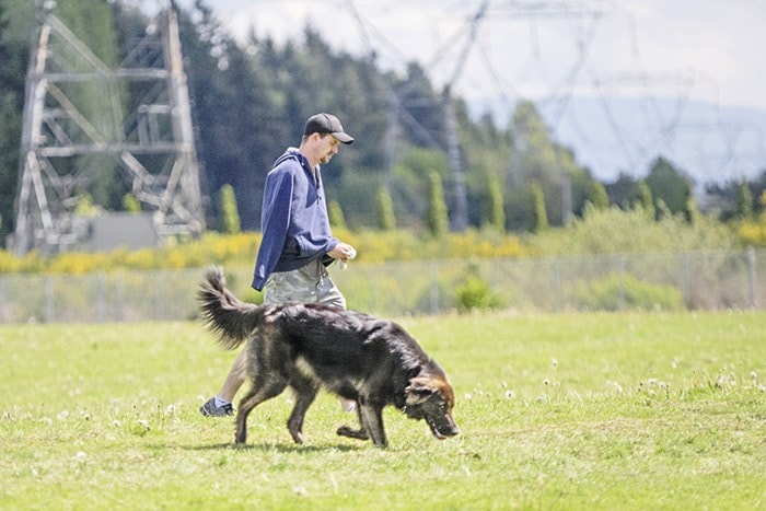 87137langleydogpark