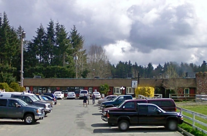 87193langleyArtful_dodger_google_web