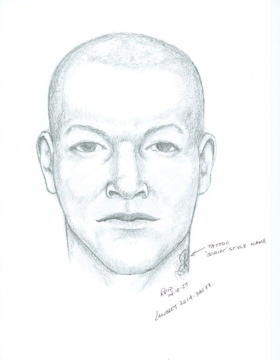 88367langleyhammerattacksketch