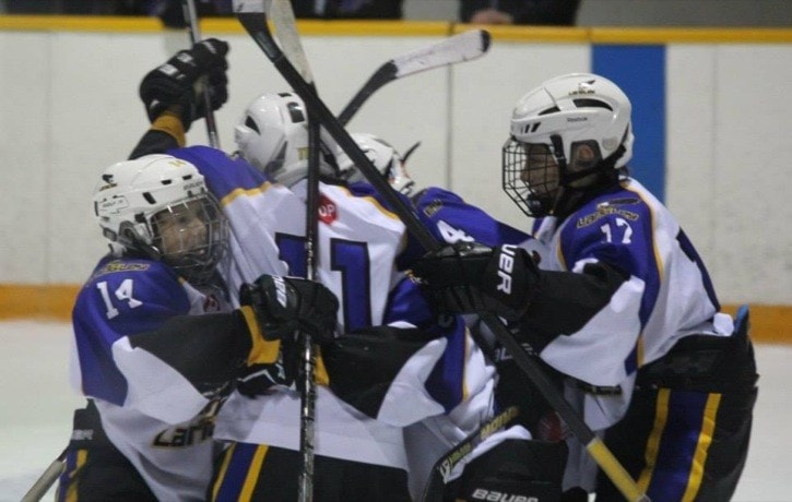 89419langleyPeeWeeA3webversion