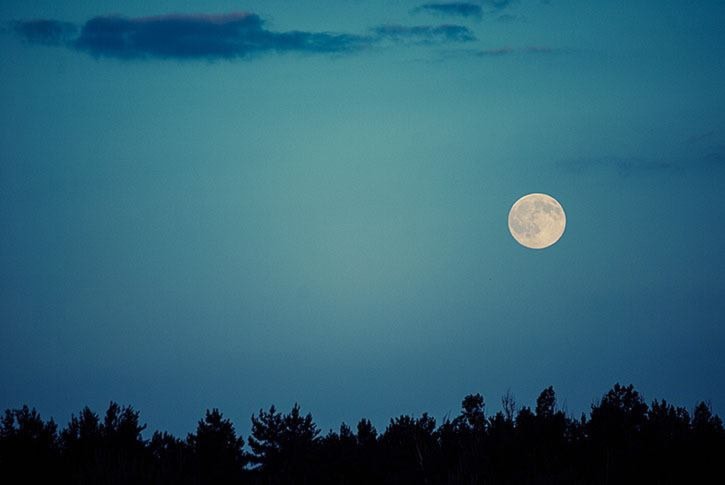 89723BCLN2007sky-clouds-trees-moon