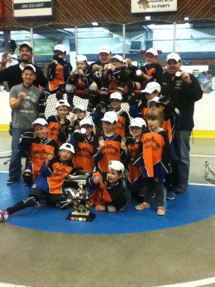 91067langleyFlamingHawks