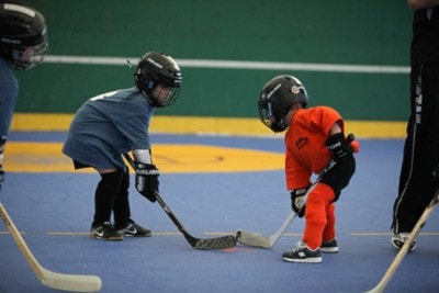 91369langleyBallhockey