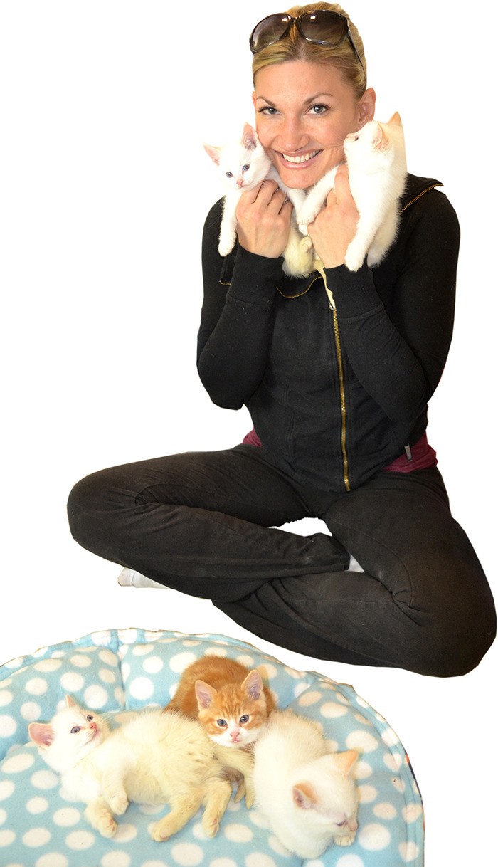 Shelly shop roche tinykittens