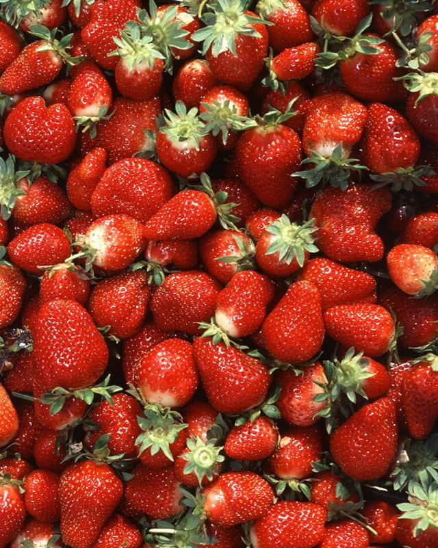 96340langleyStrawberries_file_photo