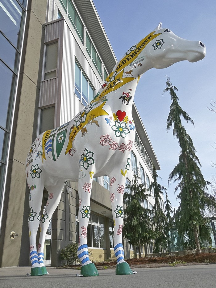 96793langleyNeighbourhoodshorse