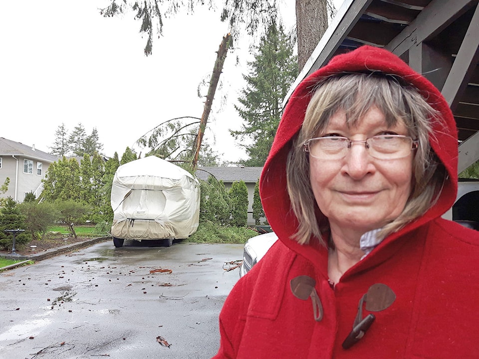 web1_170408-LAT-RV-speared-in-windstorm