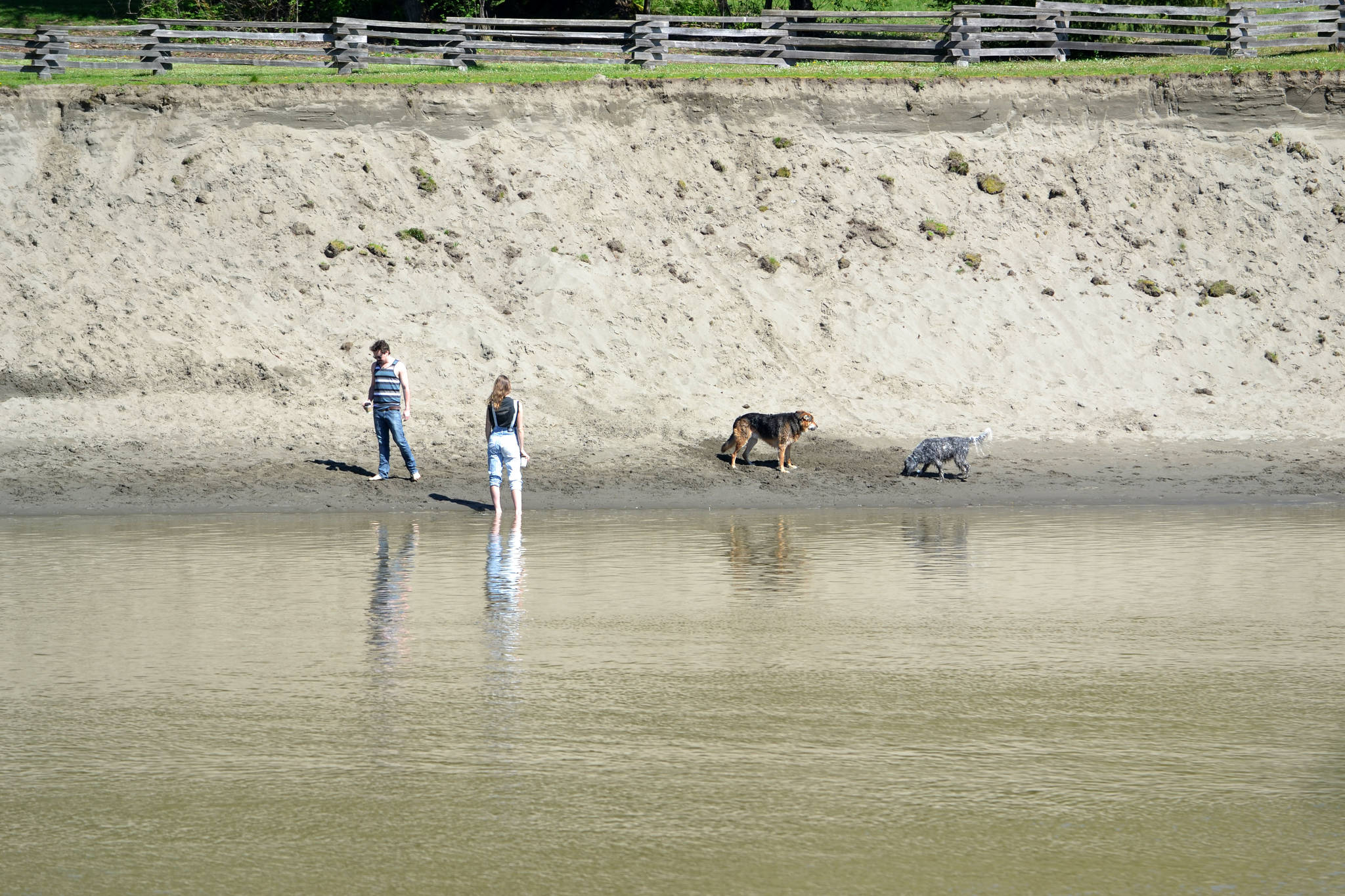 web1_DSC_0521