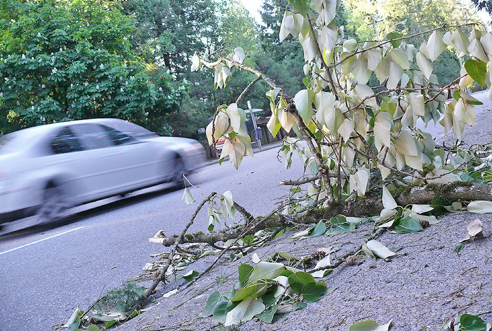 web1_170524-LAT-windstorm
