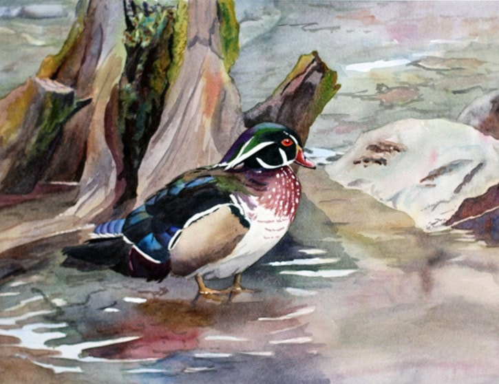 12891langleyWendyMouldWoodDuckbytheWaterWPA