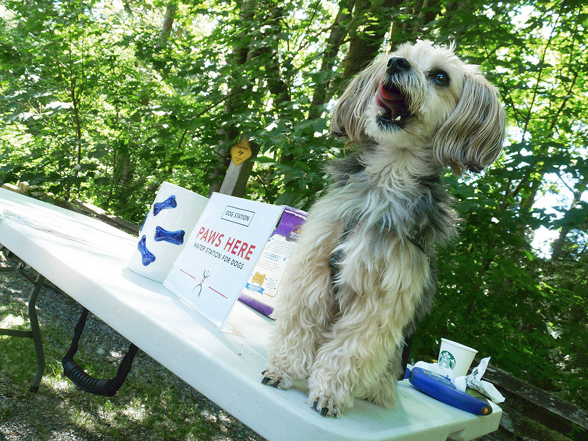 web1_170604-LAT-Gutsy-walk-dog